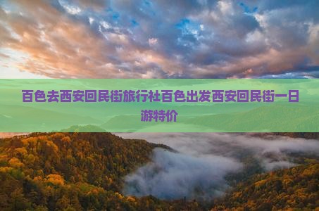 百色去西安回民街旅行社