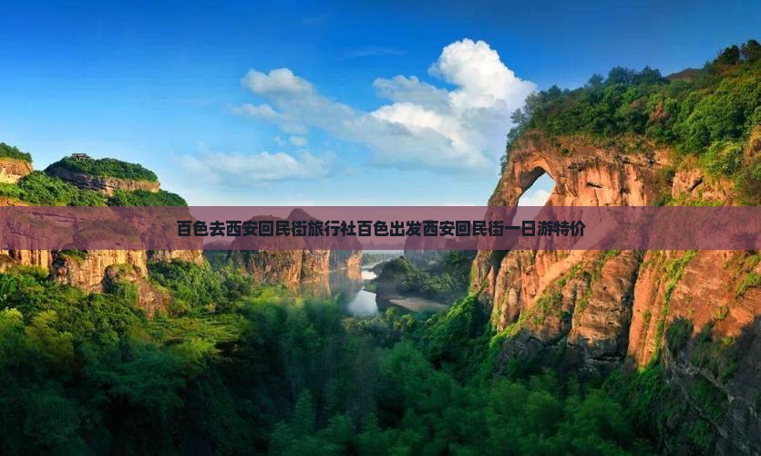百色去西安回民街旅行社
