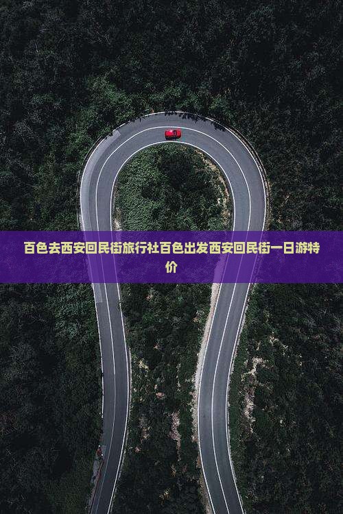百色去西安回民街旅行社