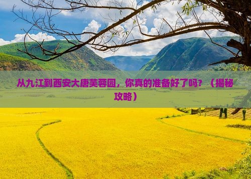 九江到西安大唐芙蓉园攻略