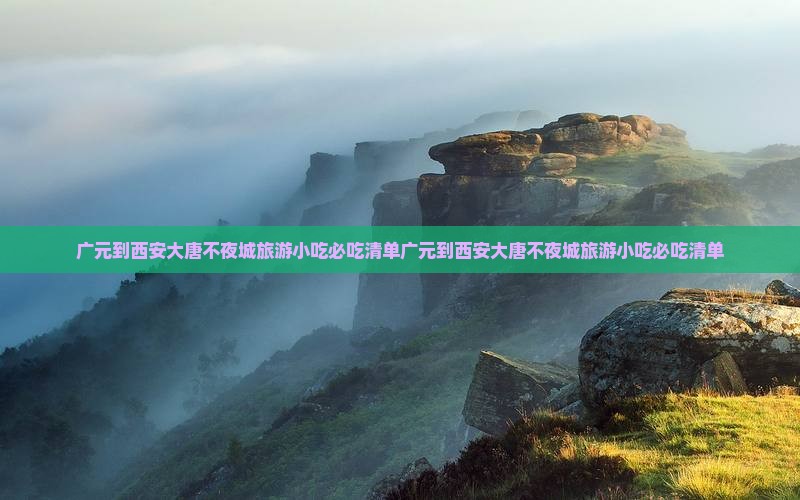 广元到西安大唐不夜城旅游小吃
