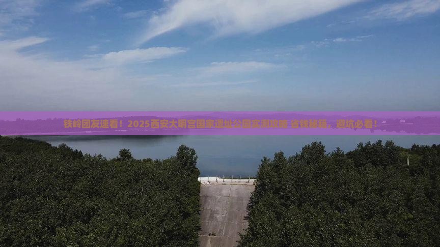铁岭到西安大明宫国家遗址公园团体旅游