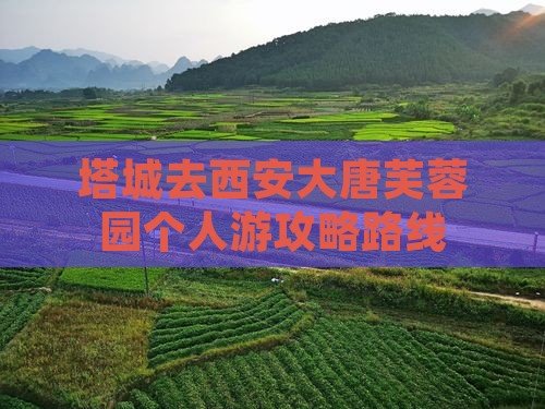 塔城去西安大唐芙蓉园个人游