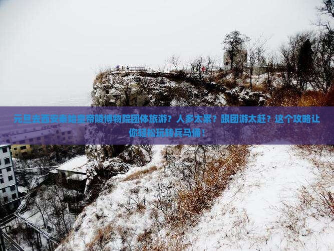 元旦去西安秦始皇帝陵博物院团体旅游