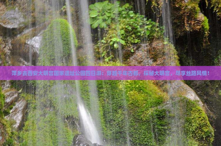 萍乡去西安大明宫国家遗址公园四日游