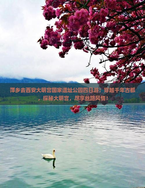 萍乡去西安大明宫国家遗址公园四日游