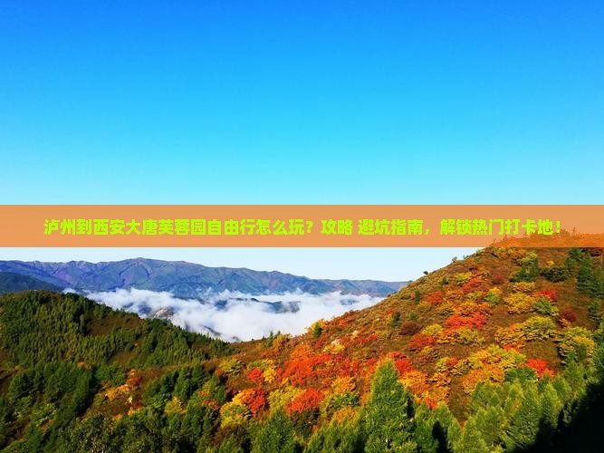 泸州到西安大唐芙蓉园自由行