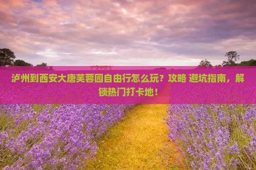 泸州到西安大唐芙蓉园自由行