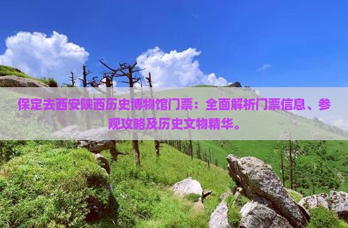 保定去西安陕西历史博物馆门票