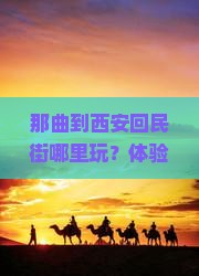 那曲到西安回民街哪里玩