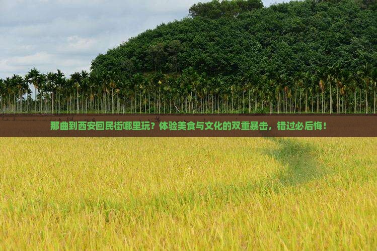 那曲到西安回民街哪里玩