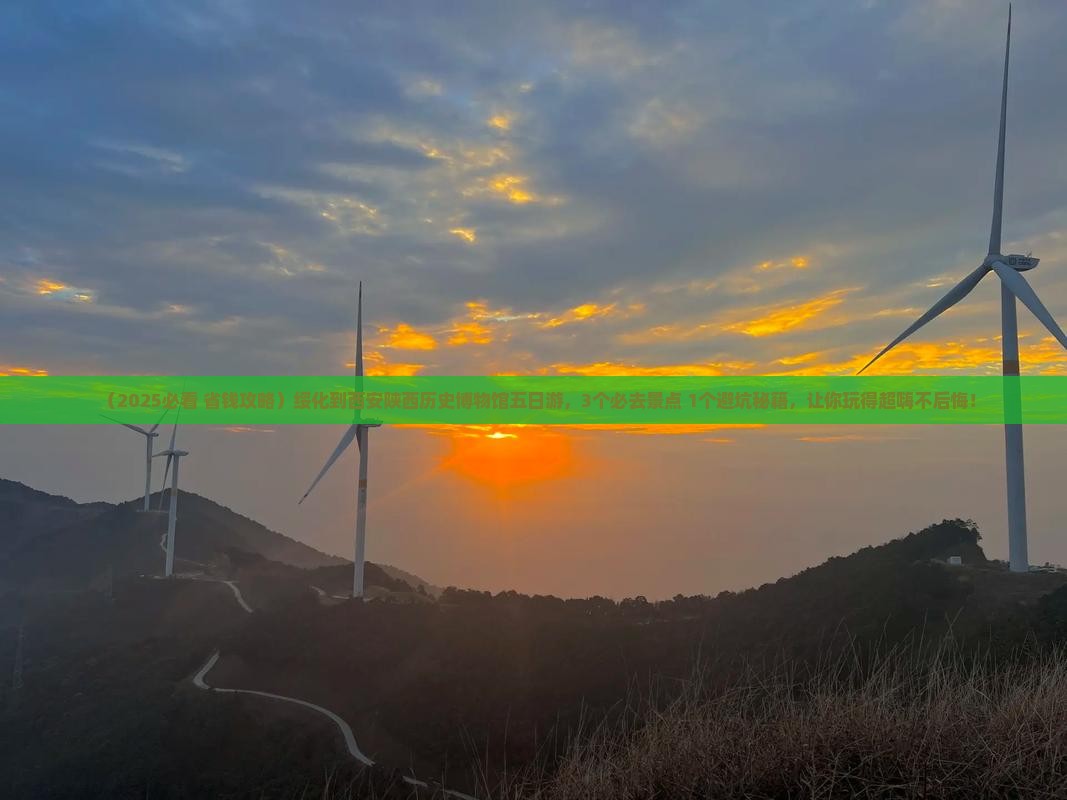 绥化到西安陕西历史博物馆五日游