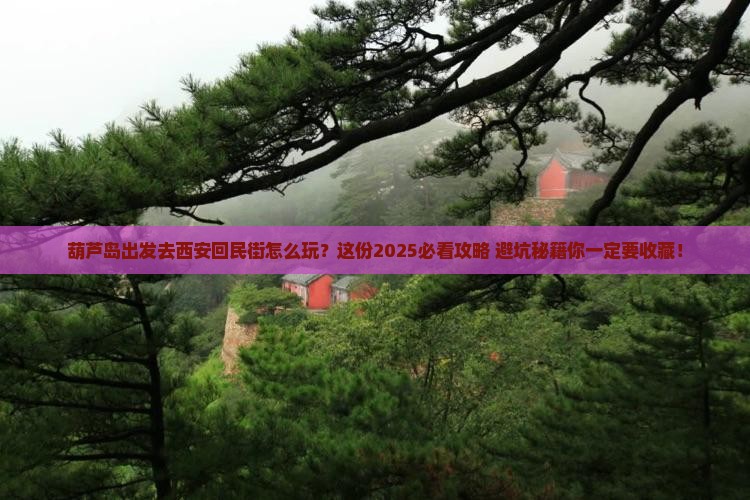 葫芦岛去西安回民街哪里玩