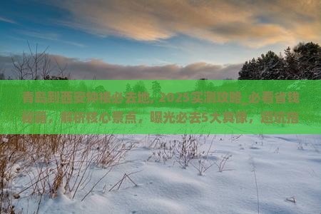 青岛到西安钟楼必去地