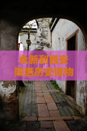 永新到西安陕西历史博物馆攻略