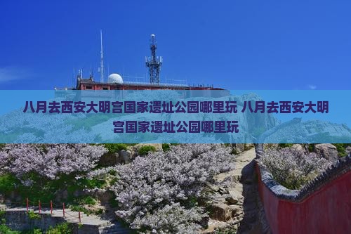 八月去西安大明宫国家遗址公园哪里玩
