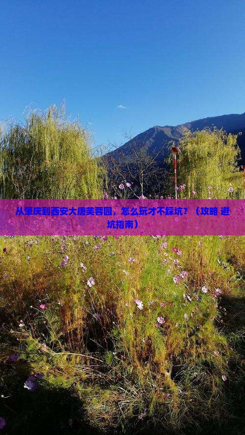 肇庆到西安大唐芙蓉园景点