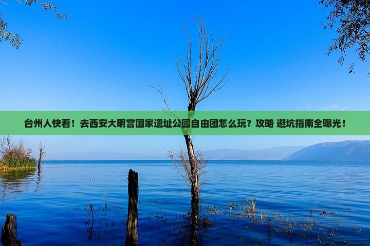 台州去西安大明宫国家遗址公园自由团