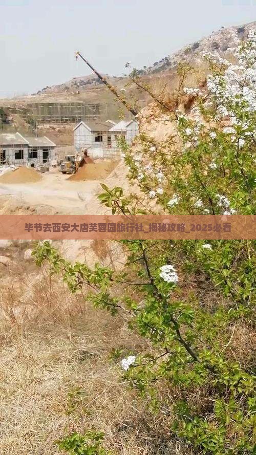 毕节去西安大唐芙蓉园旅行社