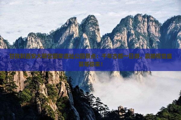 甘孜到西安大明宫国家遗址公园景点