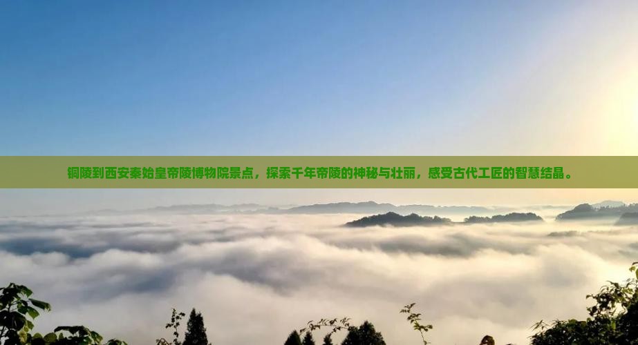 铜陵到西安秦始皇帝陵博物院景点
