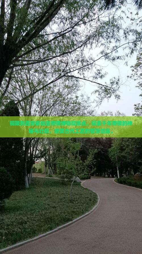 铜陵到西安秦始皇帝陵博物院景点