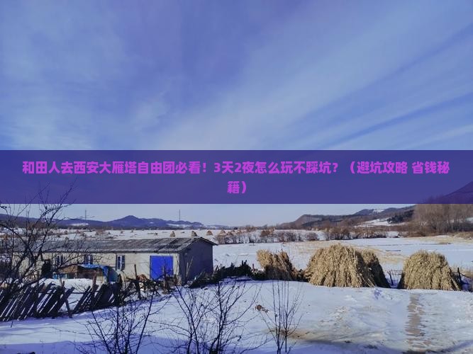 和田去西安大雁塔自由团