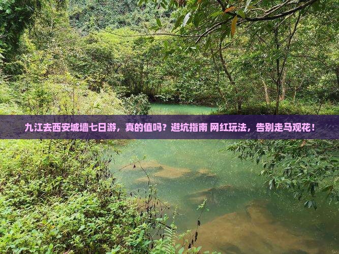 九江去西安城墙七日游