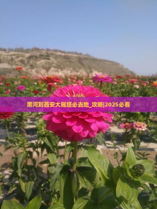 黑河到西安大雁塔必去地