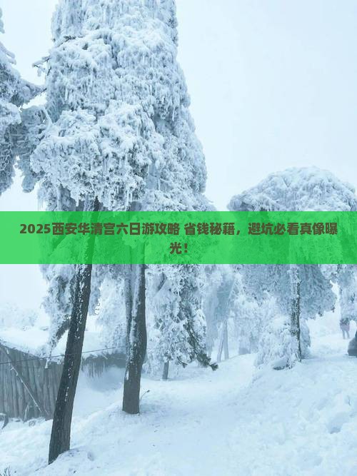 六月到西安华清宫六日游