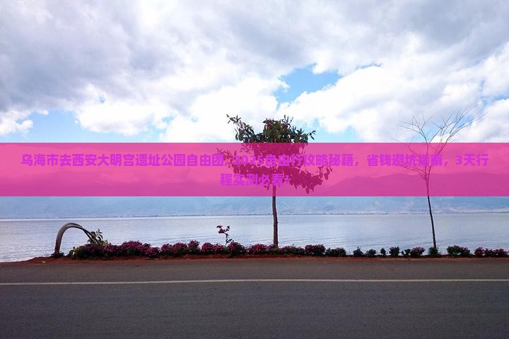 乌海市去西安大明宫国家遗址公园自由团