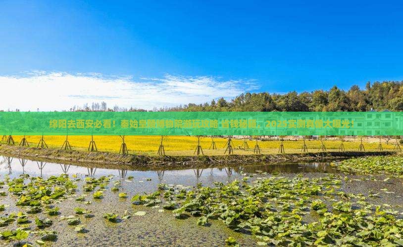 绵阳到西安秦始皇帝陵博物院哪里玩