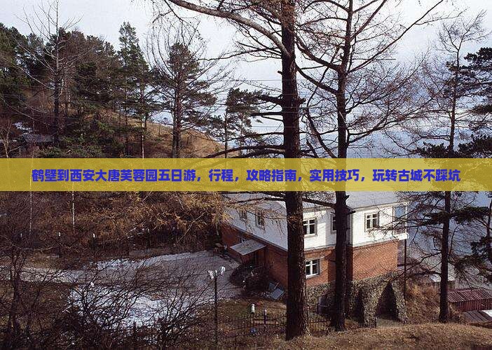 鹤壁到西安大唐芙蓉园五日游