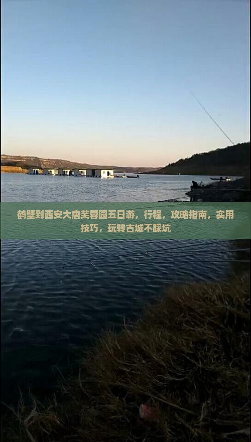 鹤壁到西安大唐芙蓉园五日游