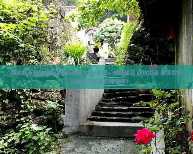 聊城到西安钟楼团体旅游