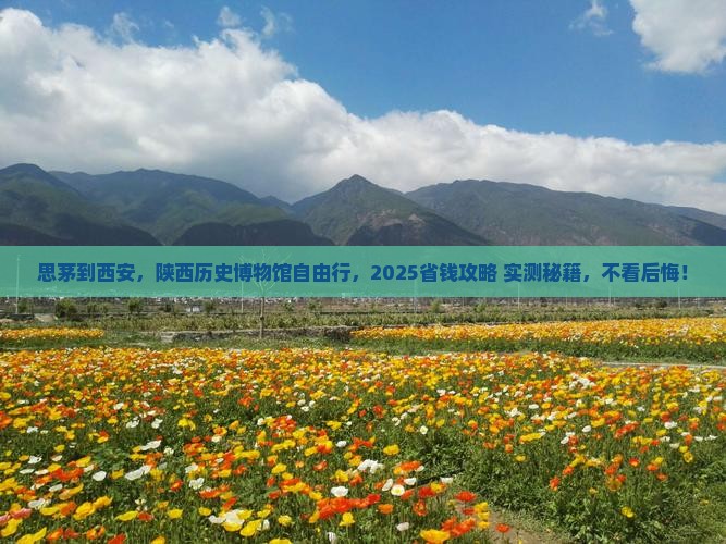 思茅去西安陕西历史博物馆自由行