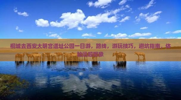 桐城去西安大明宫国家遗址公园一日游