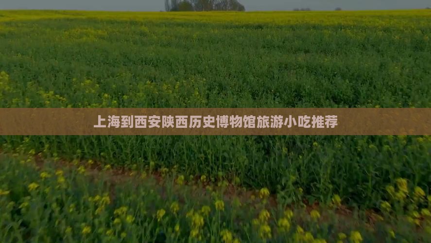 上海到西安陕西历史博物馆旅游小吃