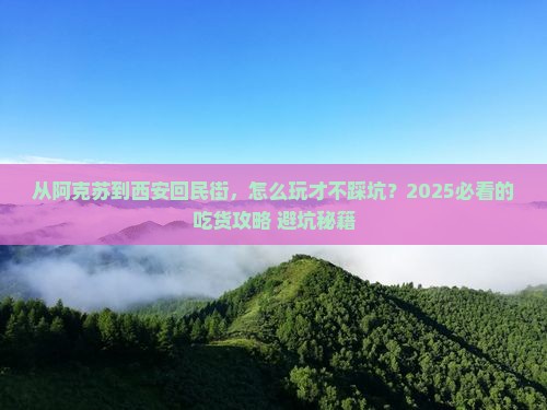 阿克苏去西安回民街攻略