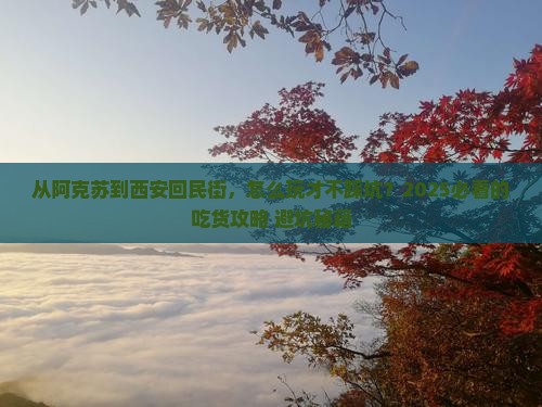阿克苏去西安回民街攻略