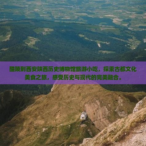 醴陵到西安陕西历史博物馆旅游小吃