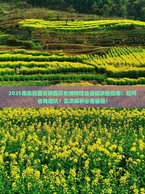 南京到西安陕西历史博物馆自由团