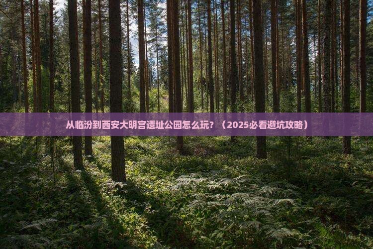 临汾到西安大明宫国家遗址公园哪里玩