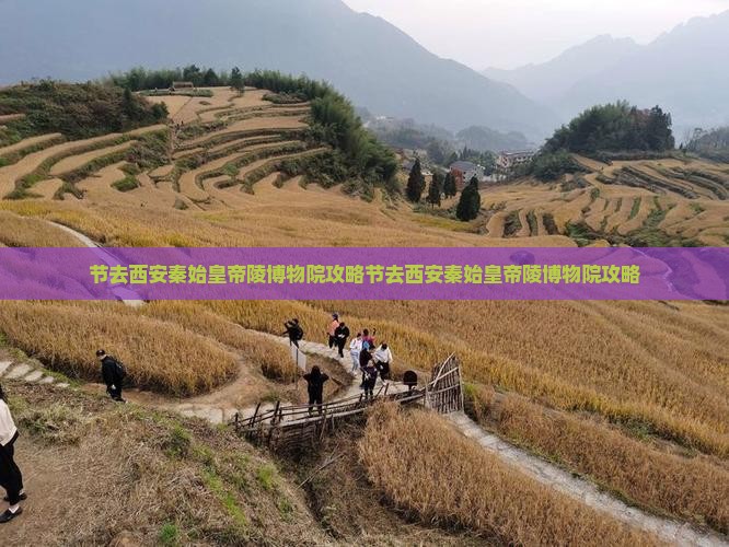 国庆节去西安秦始皇帝陵博物院攻略