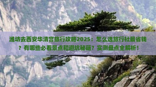 潍坊去西安华清宫旅行社