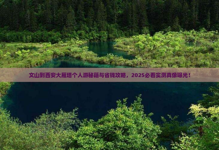 文山到西安大雁塔个人游