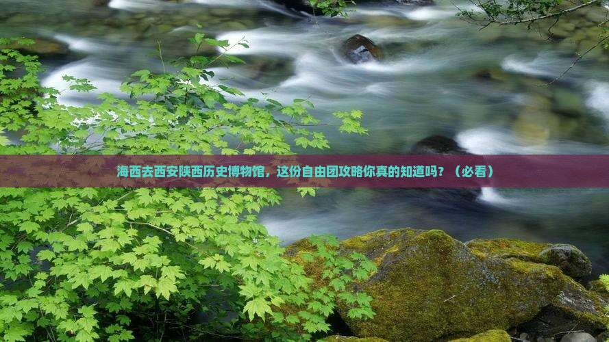 海西去西安陕西历史博物馆自由团