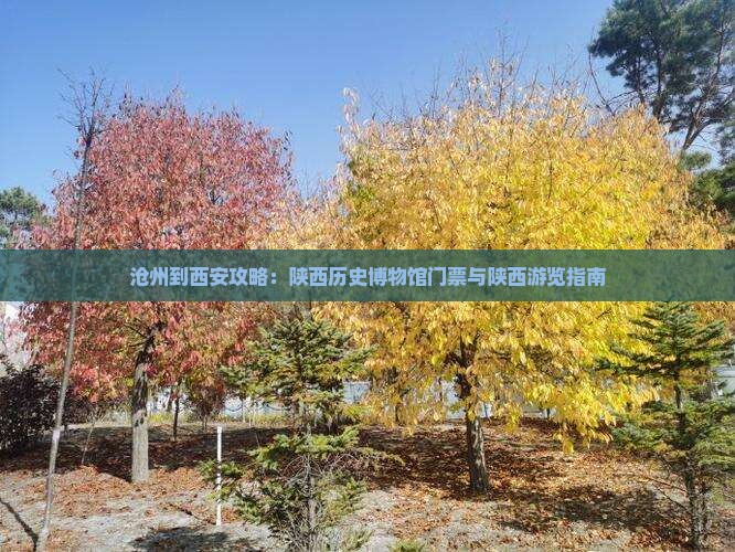沧州到西安陕西历史博物馆门票