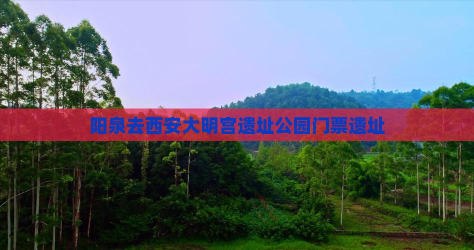 阳泉去西安大明宫国家遗址公园门票