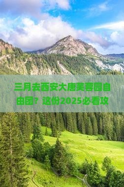 三月去西安大唐芙蓉园自由团